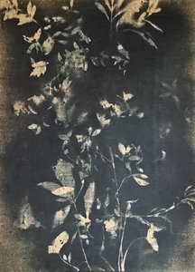 Botaniske blade i vintagestil af Stefano Mazzolini