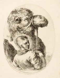 Dreng, der holder en kamel ved tøjlen, fra Several Heads Coiffées à la Persienne, pub. vs. 1650 (gravering) af Stefano della Bella