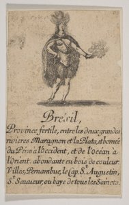 Brasilien, 1644. af Stefano della Bella