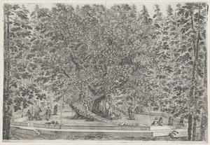 De bewoonde boom in the garden af ​​Villa Pratolino Villa Pratolino (serietitel) Vues de la villa de Pratolino (serietitel) af Stefano della Bella