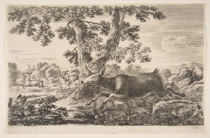 Hjortejagt, fra Animal hunts Jagt på forskellige dyr, ca. 1654. af Stefano della Bella