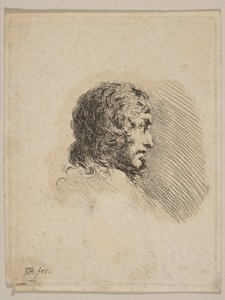 Hovedet af en ung mand i profil, fra Diverse portrætter Recueil de Diverses Piéces S..., ca. 1647.
