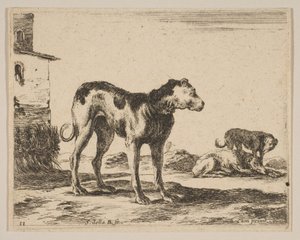 Tavle 11: hunde, fra Diverse dyr Diversi animali, ca. 1641. af Stefano della Bella