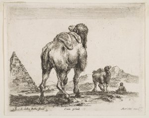 Plade 18: kamel set bagfra med pyramide til venstre, fra Diverse dyr Diver..., ca. 1641. af Stefano della Bella