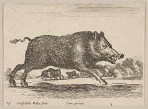 Tavle 19: vildsvin, fra Diverse dyr Diversi animali, ca. 1641. af Stefano della Bella