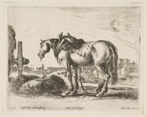 Tavle 22: vognhest, fra Diverse dyr Diversi animali, ca. 1641.