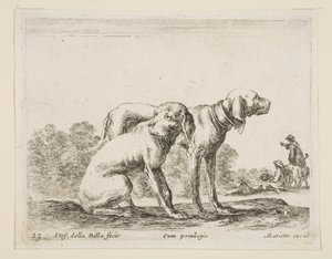 Plade 23: to hunde, fra Diverse dyr Diversi animali, ca. 1641. af Stefano della Bella