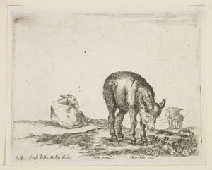 Plade 24: æsler, fra Diverse dyr Diversi animali, ca. 1641. af Stefano della Bella