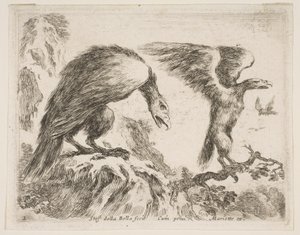 Plade 2: ørn og ørn, fra Diverse dyr Diversi animali, ca. 1641. af Stefano della Bella