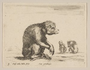 Plade 3: siddende abe, fra Diverse dyr Diversi animali, ca. 1641. af Stefano della Bella