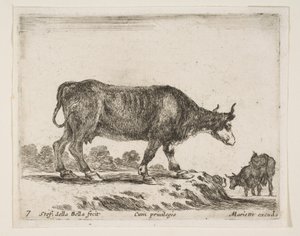Tavle 7: okse, fra Diverse dyr Diversi animali, ca. 1641. af Stefano della Bella