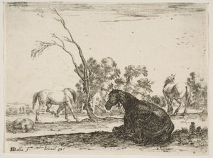 Plade 8: en siddende hest til højre, set bagfra og drejet til venstre, tre andre hor..., 1642.