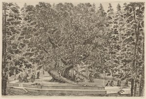 Det beboede træ, sandsynligvis 1653. af Stefano della Bella