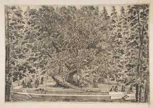 Træhuset i Pratolino, ca. 1653. af Stefano della Bella