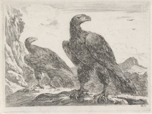 To ørne med hoveder til højre Eagles (serietitel) af Stefano della Bella