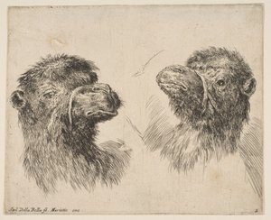To kamelhoveder, ca. 1641. af Stefano della Bella