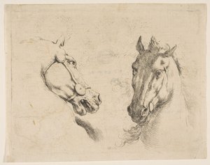 To hestehoveder, ca. 1649. af Stefano della Bella
