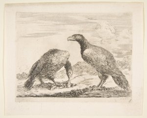 To ørne, den ene æder et lam, fra Eagles Les aigles, ca. 1651. af Stefano della Bella
