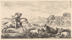 To hunde får en hjorteko til at falde om