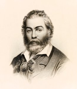 Frontispice fra en 1860-udgave af "Leaves of Grass", en digtsamling af den amerikanske digter Walt Whitman af Stephen Alonzo Schoff