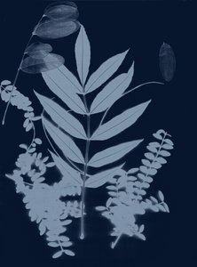 Cyan Foliage 01, 2017 (digital) af Stephen Dow