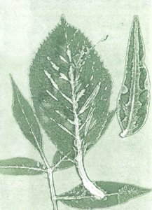 Gone IX, 2015 (monoprint på papir) af Stephen Dow