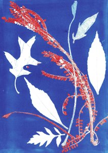 Jol I, 2017 (monoprint på papir) af Stephen Dow