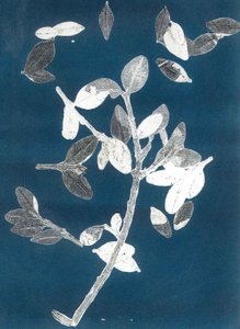 Midnight Garden II, 2015 (monoprint på papir)