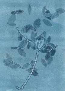 Midnight Garden I, 2015 (monoprint på papir) af Stephen Dow