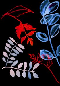 Night Flora IV, 2018 (digital) af Stephen Dow