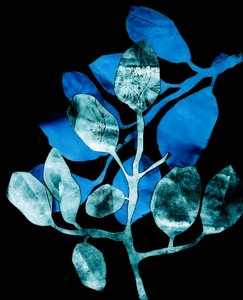 Nocturnal Garden, 2017 (digital, fra en collagraph)