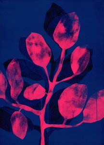 Summer Garden III pink, 2018 (digital) af Stephen Dow