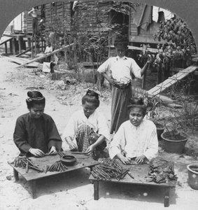 Fremstilling af enorme cigarer røget af kvinder, Burma, 1908 af Stereo Travel Co