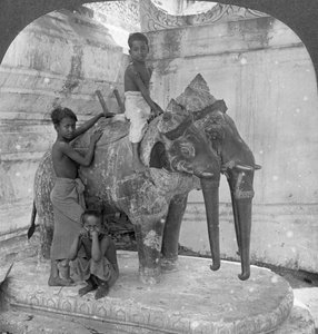 Trehovedet elefant bevogter et fristed, Arakan Pagoda, Mandalay, Burma, 1908.