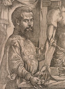 Andreas Vesalius dissekerer musklerne i underarmen på et kadaver, 1543. af Steven van Calcar