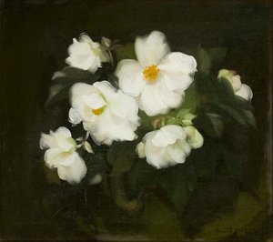Hvide roser (olie på lærred) af Stuart Park