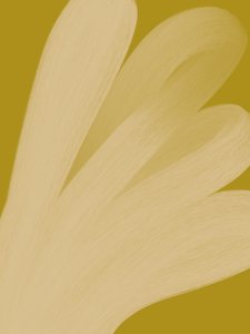 Abstrakt: Golden Flow af Studio Palette