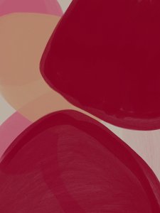 Rødbrune ferskenkurver af Studio Palette