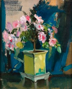 Camellia, ca. 1920 (olie på panel) af Sunderland Rollison