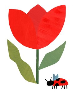 Rød tulipan og mariehøne