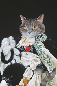 Illustration fra Cats Galore! Et kompendium over kultiverede katte (udg. 2015) af Susan Herbert
