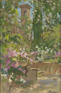 Rosenbuen, Languedoc af Susan Ryder