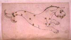 Stjernebilleder: Cetus, hvalen af Suvar Al Kavakib