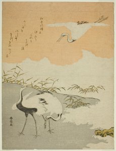 Kraner ved havet af Suzuki Harunobu