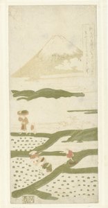 ris plantekasser af Suzuki Harunobu