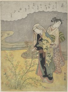 Buskkløveret (Hagi) af Suzuki Harunobu