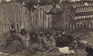 I Pawhakiro Pa, Hawkes Bay, New Zealand, ca. 1865 (albumenprint) af Swan and Wrigglesworth