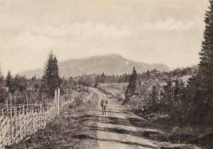 Sverige / Sverige: Jamtland, Areskutan Fran Undersaker (s/h foto) af Swedish Photographer