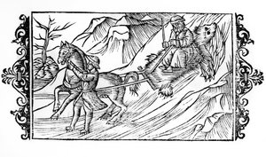 Hest slæber på sneen et bjørneskind, som en finsk sidder på - i "" De Gentibus septentrionalibus"" af ærkebiskop Olaus Magnus, Sverige