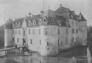 Chateau de Bottmingen, pres Bale (s/h foto) af Swiss Photographer